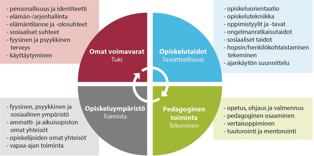 Vastuullisuus arvona velvoittaa meitä kehittämään opiskeluympäristöjä ja vahvistamaan yhteisöllisyyttä ja osallisuutta.