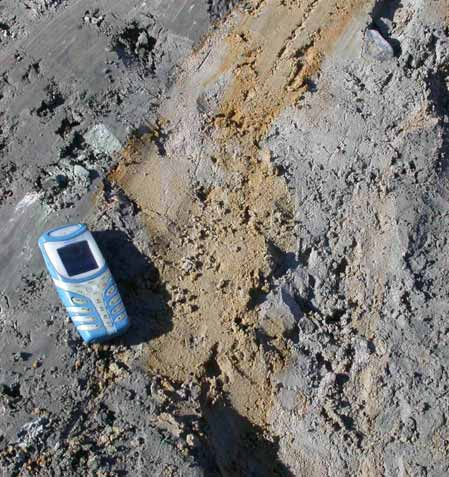 6 The dark grey silty till above broken bedrock has been cracked vertically forming a netlike pattern. The cracks are filled with sand (Fig. 4).