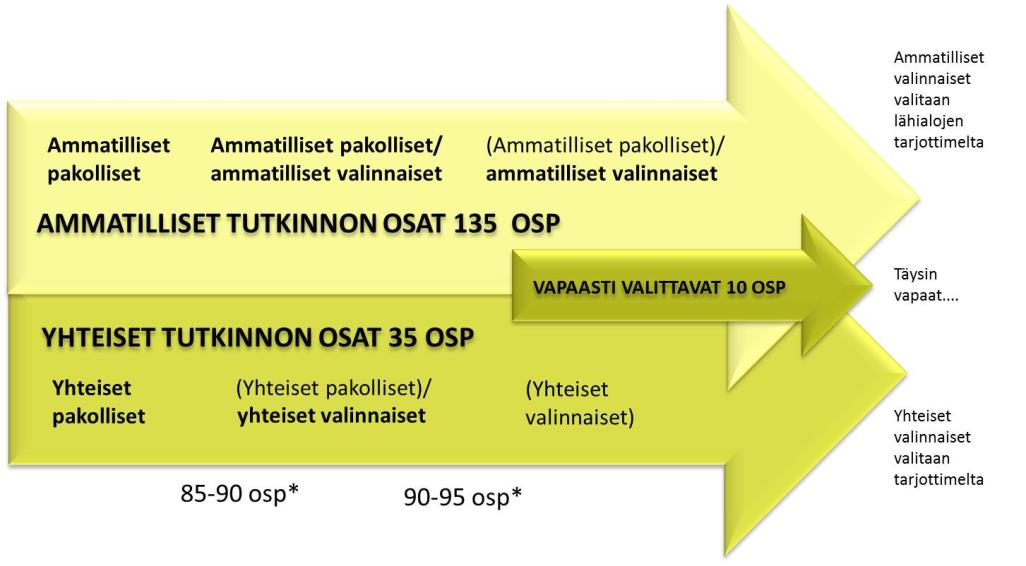 2.3 Tutkinnon osat ja opintojen eteneminen Kuvassa on kuvattuna tutkinnon rakenne ja opintojen eteneminen: *Tutkinnon koko laajuus on 180 osaamispistettä, joka voidaan suorittaa kahden vuoden aikana.