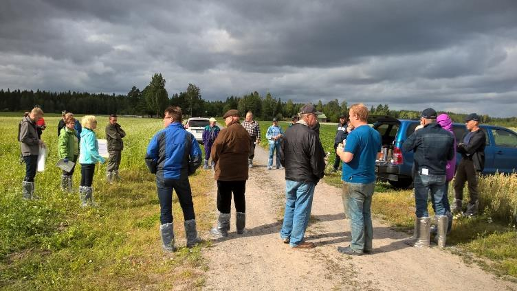 Tärkkelysperunan viljelykiertokokeilu Kokeilussa seurataan maan orgaanisen aineksen muutosta, kasvimassan mukana maahan tulevan