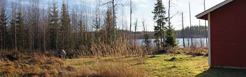 Pesolan suunnittelualueen lähialueen maanpinnan muodot ovat melko tasaisia ja loivapiirteisiä, kun taas Korkeanmaan lähialueella maanpinnan muotoja leimaa pienipiirteisyys.