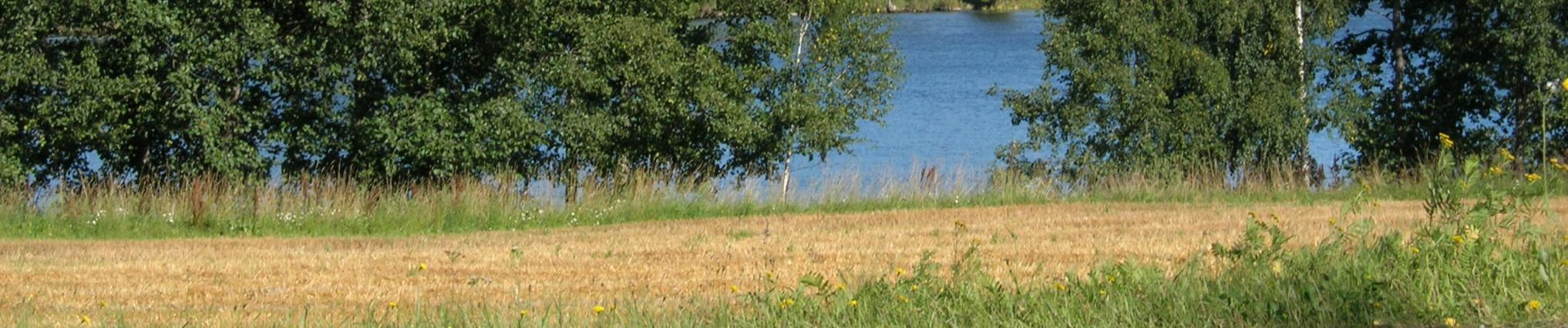 Vakituinen asunto ei massoittelultaan olennaisesti poikkea alueelle rakennetuista lomaasunnoista.