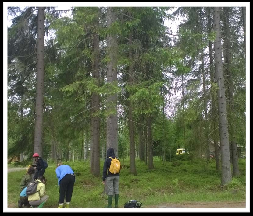 Teoria Jatkuva vuoropuhelu Biodiversiteetti (lajimäärä) Käytäntö Alueen