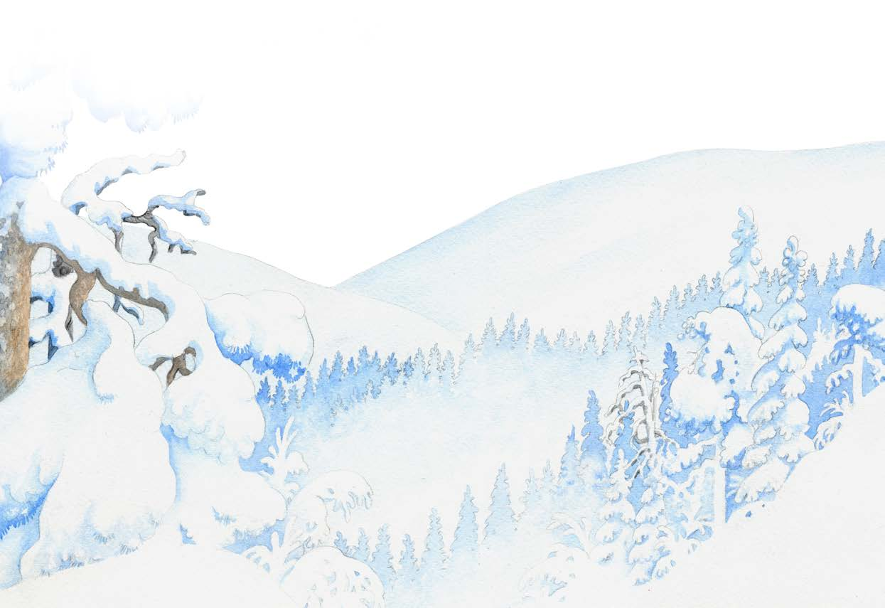 3 Kestävää matkailua edistetään yhteistyöllä Matkailualan toimijoiden kanssa edistetään yhdessä kestävää matkailua.