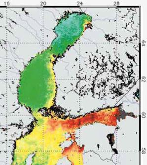 in the Gulf of Finland Blue-green algae blooms Bad smell of water Poor water quality Reduced