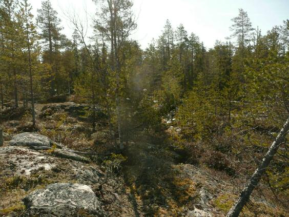 4 Yllä: maastoa alueen