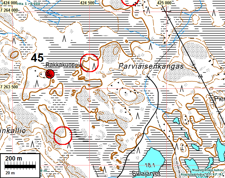 8 II 45 PARVIAISENKANGAS W Mjtunnus: 139010045 Rauh.