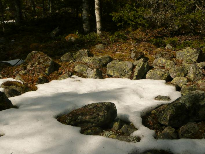 kuvattuna