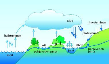 8 2. POHJAVESIALUEET JA NIIDEN SUOJELU SUOMESSA 2.1 Pohjaveden syntyminen Pohjavettä syntyy kun sade ja sulamisvedet suotautuvat ja varastoituvat maa- tai kallioperään.