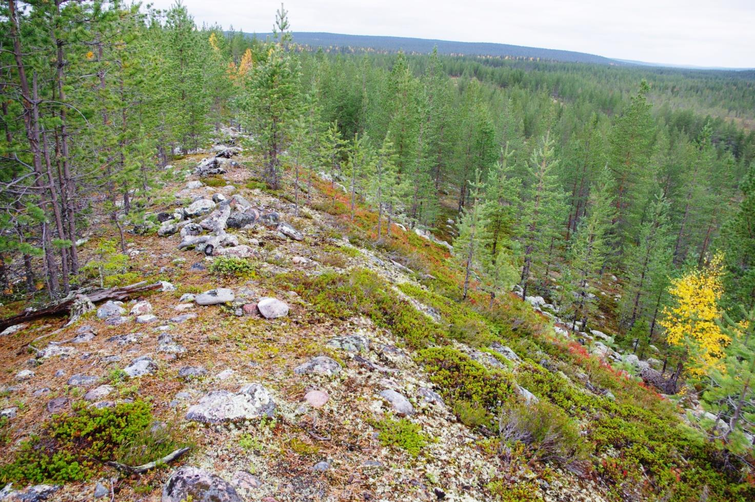 POHJAVESIEN SUOJELUN JA KIVIAINESHUOLLON YHTEENSOVITTAMINEN LAPISSA Vaihe 1 Ari Lyytikäinen Luonnon- ja maisemansuojelun