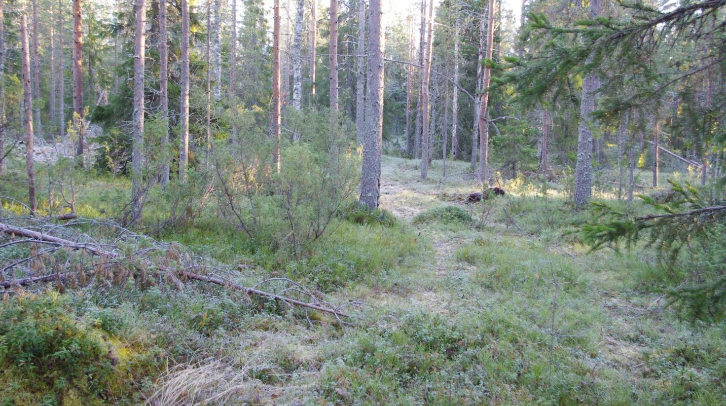 18 2.2.2.5 Simo Simon kunnan alueella tutkittiin kahdeksan POSKI-hankkeeseen valittua pohjavesialuetta. Muita pohjavesialueita tai muodostumia ei tutkittu.