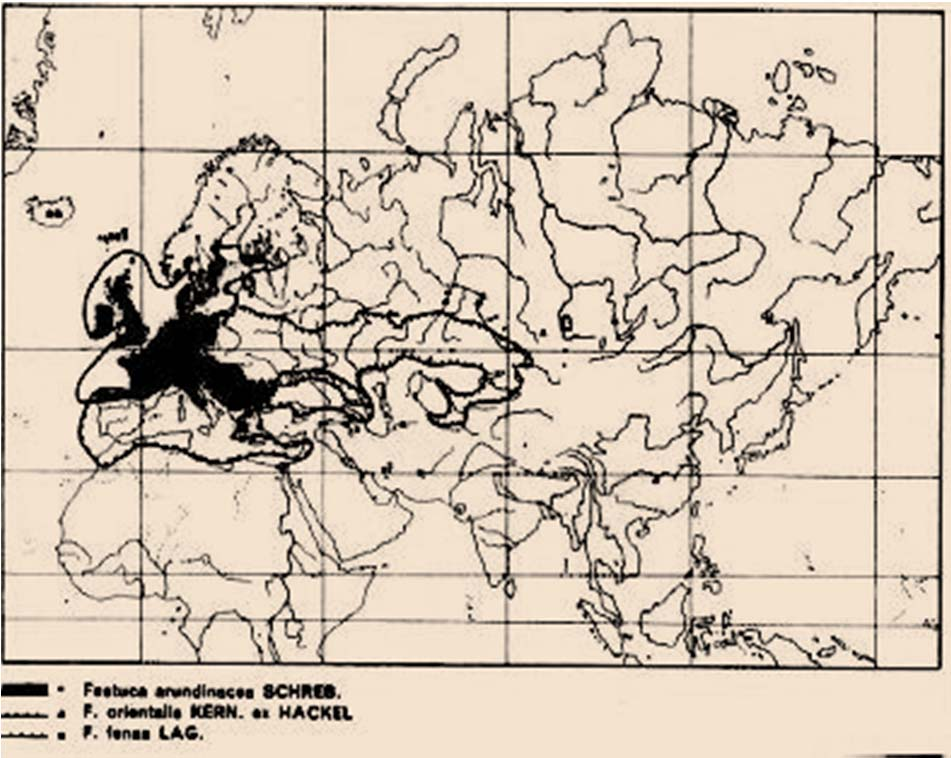 Tall fescue origing and distribution Central Europe