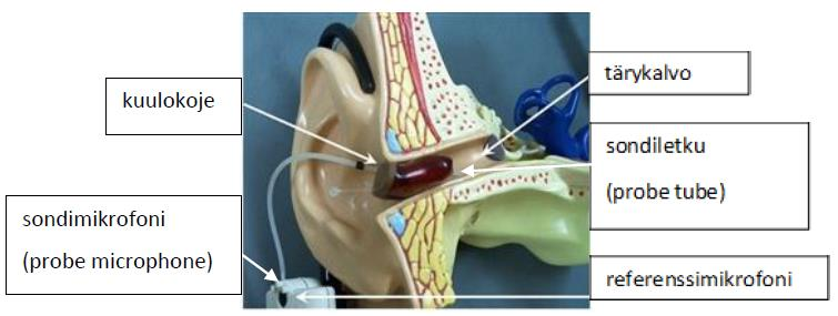 31 REOR (Real Ear Occluded Response) REOR on suljetun korvakäytävän mittauksen vastenäkymä. Se näyttää mittasignaalin vaste-arvon korvakäytävässä, kun kuulokoje on paikallaan, muttei päällä (kuva 4).