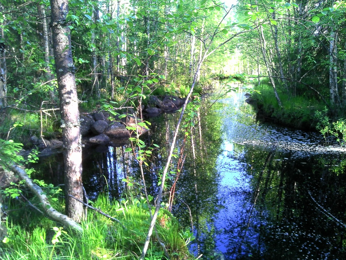 rajauksen eteläosassa.