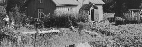 Keskellä on hirsinen vaateaitta, joka on rakennettu vuosisadan vaihteessa.