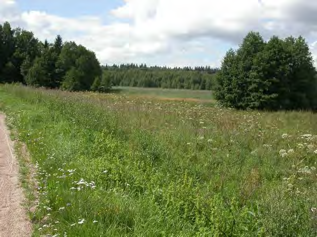 Kaikilla merenlahdilla nimenomaan järviruoko on näkyvimmin valloittanut alaa niin vesialueelta kuin myös kosteilta rantaniityiltä.