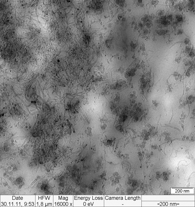 1 1 10 100 Log strain, % Storage Modulus, GPa 1 0,1 0,01 CNT 0 CNT 0.