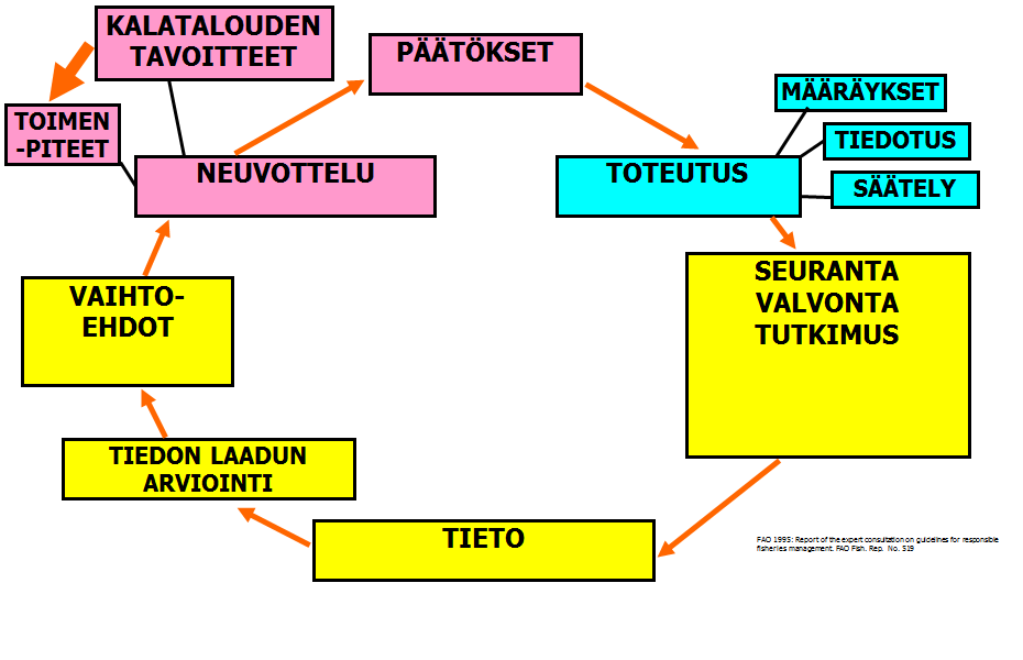 36.2 KHS: tavoitetila Järjestelmä lyhyesti mm. kalastuksen mitoitus ja säätely seurantatietoon perustuen Riskinhallinta KHS:n strategia ja vuotuiset taktiset Esim.