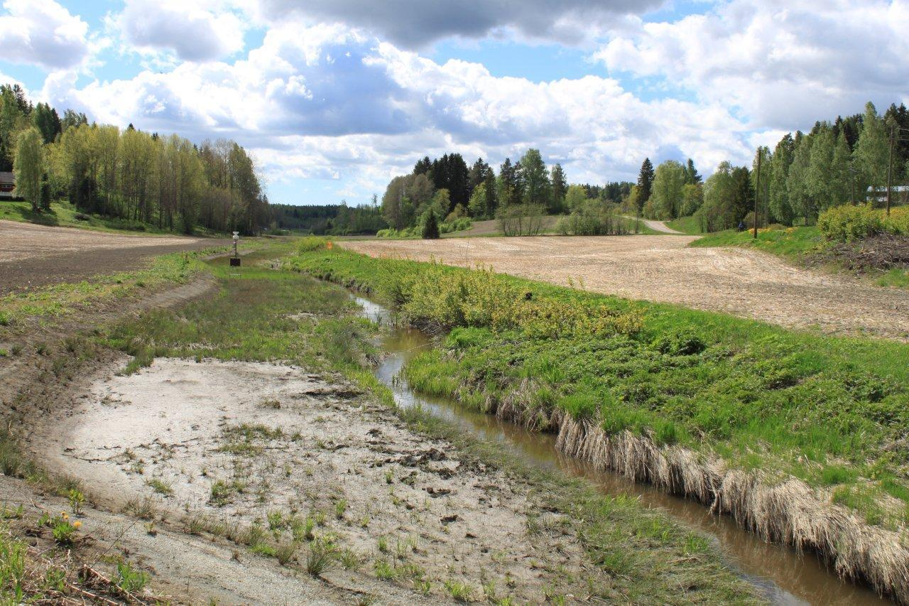 Kylvetty nurmi Alivesiuoma Luontaisesti kasvittunut Tulvatasanne Ritobäcken-puron tulvatasanne, Sipoo.