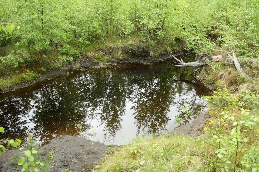 Lietekuopat Tavoitteena pysäyttää kaivun yhteydessä liikkeelle lähtevää kiintoainetta Yleisesti metsäojitusten yhteydessä käytetty vesiensuojelun perusrakenne Lietekuoppia