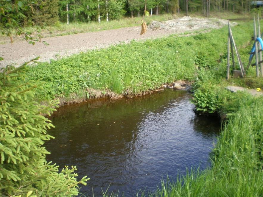 Muutakin kuin kuivatusta Lietekuoppaan rakennettu uimapaikka.