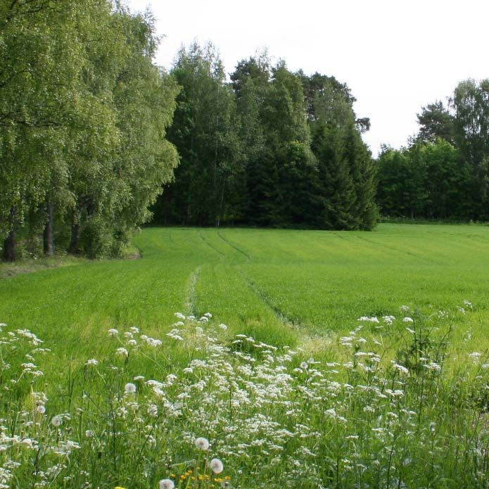 sijaitsee Taka-Vaijalan talouskeskus. Talouskeskuksella on rannassa sauna.