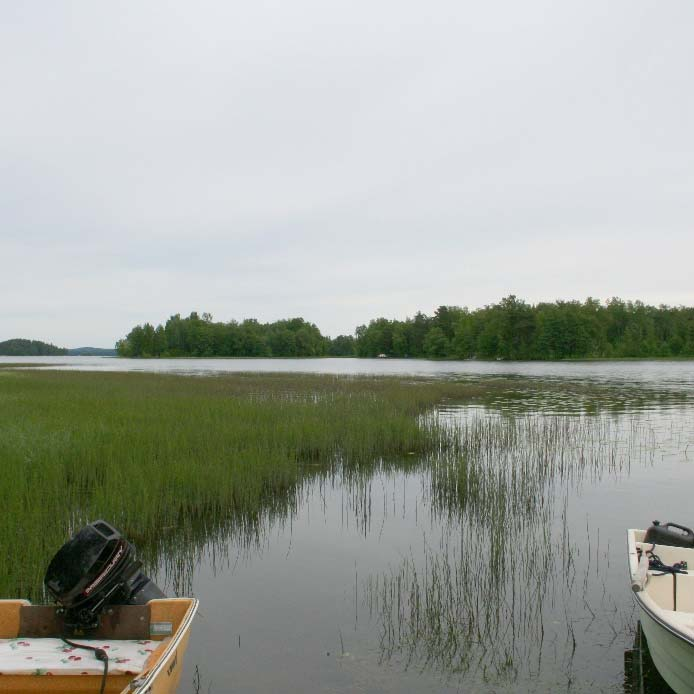 Eteläisemmällä suunnittelualueella, Kuulialan vanhassa kylässä, sijaitsee neljä