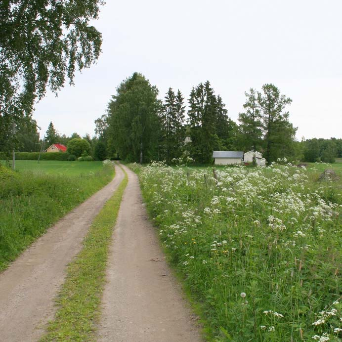 Kolme niistä sijaitsee tiiviinä ryhmänä rantaan johtavan tien varrella.