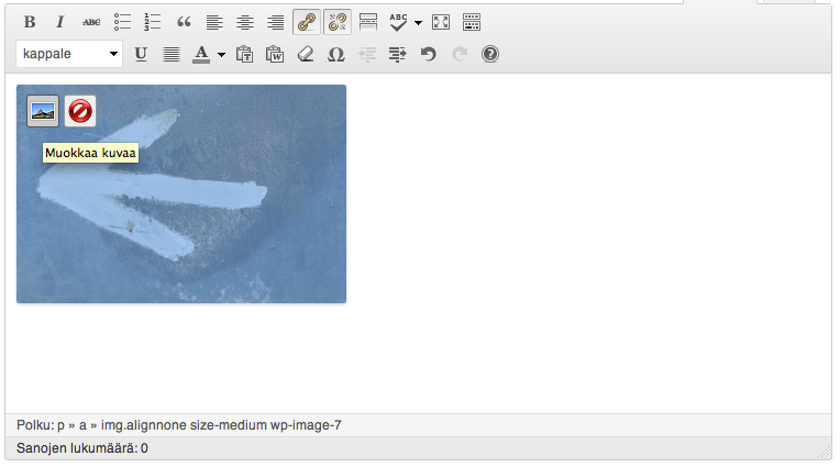 37 Kuva 16. Kuvan muokkaaminen TinyMCE-muokkaimessa. Sivustolle aukeaa asetussivu, jossa ovat tavalliset kuvaan liittyvät toimenpiteet, kuten tasaus, otsikko ja kuvateksti.