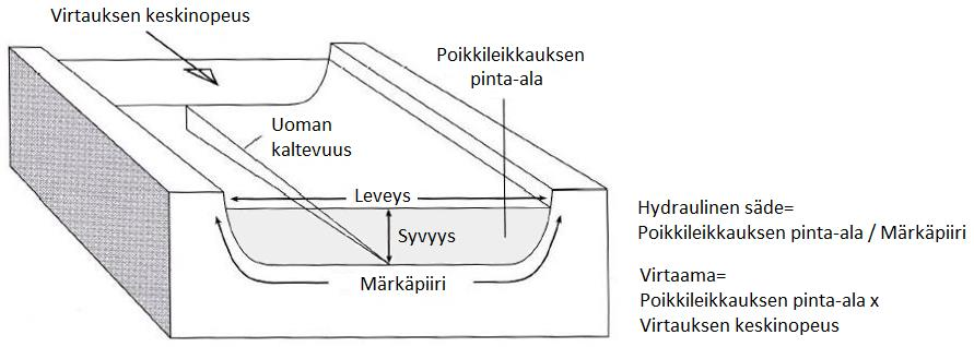 leveissä, matalissa joissa uoman pohjasta ja reunoista aiheutuva kitka vaikuttaa virtaukseen enemmän verrattuna kapeisiin, syviin jokiin (Nagle 2000: 81). Kuva 1.