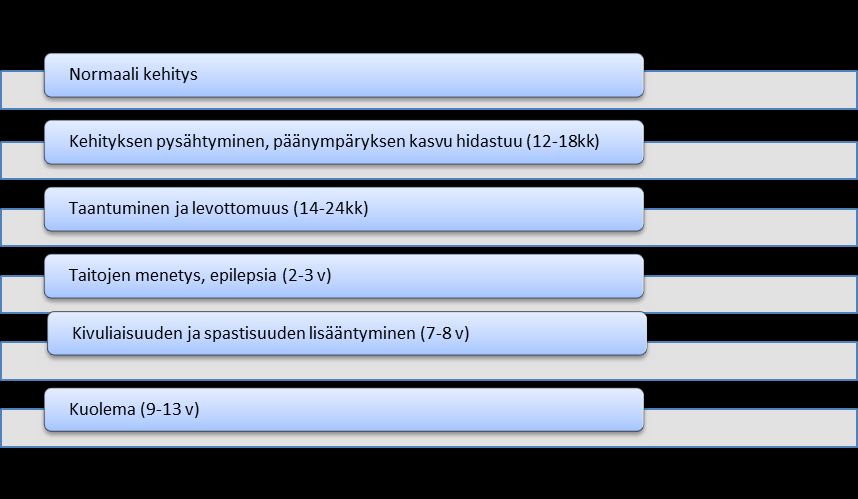 13 Kuvio 1.