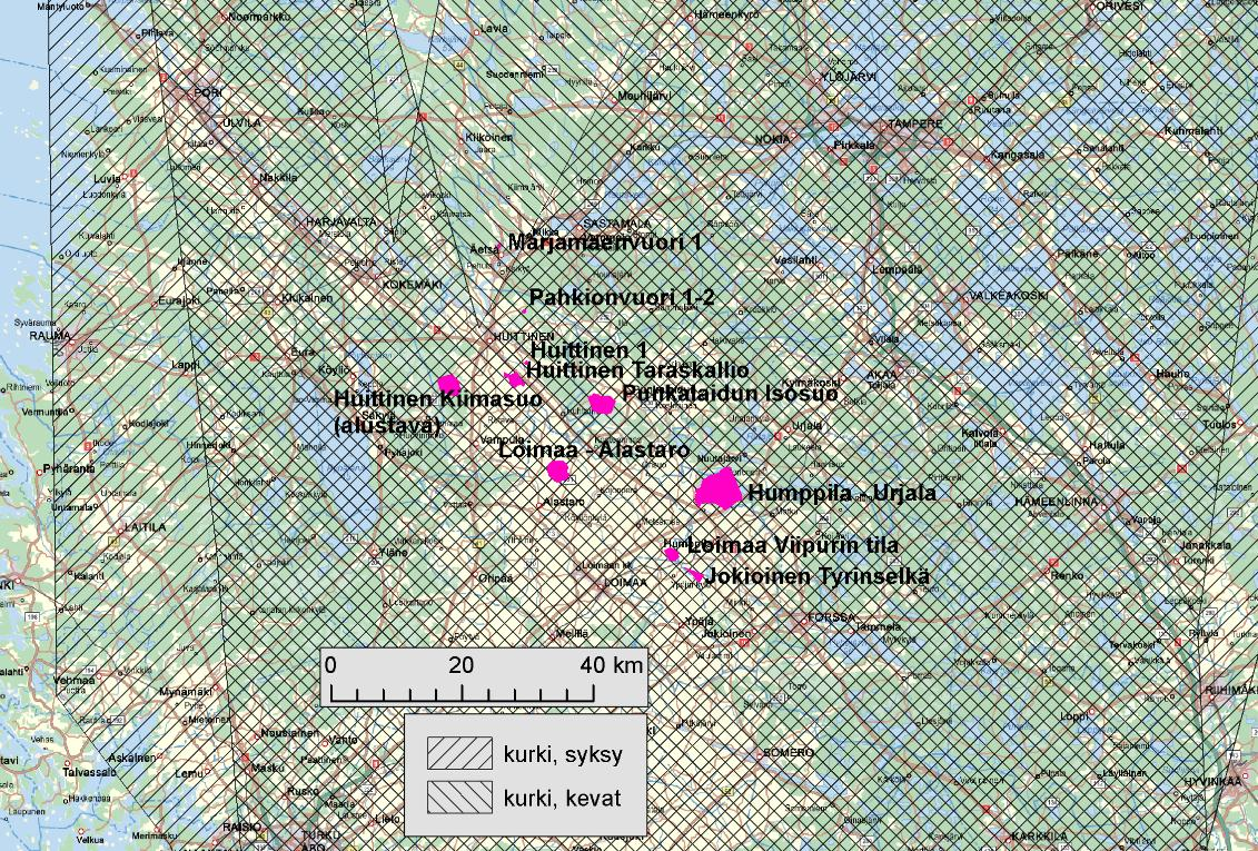 Tässä yhteydessä tarkasteltavat tuulivoimapuistot on helposti väistettävissä, eivätkä ne muodosta kurkien pääasialliseen muuttosuuntaan nähden nielumaisia muodostelmia, joihin linnut voisivat ajautua.