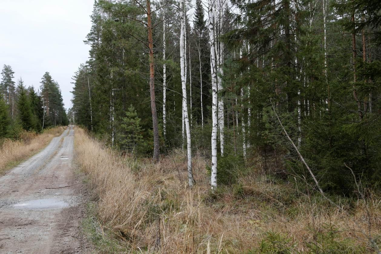 varrella. Valtatie 2 kulkee kaakko-luode suuntaisesti suunnittelualueen etelä- ja lounaispuolella.