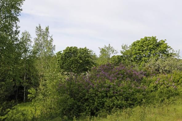 Kirkosta johtaa puukuja ja riippusilta kirkkoherranpappilaan, jonka poikkeuksellisen suuri uusrenessanssityylinen puinen päärakennus on