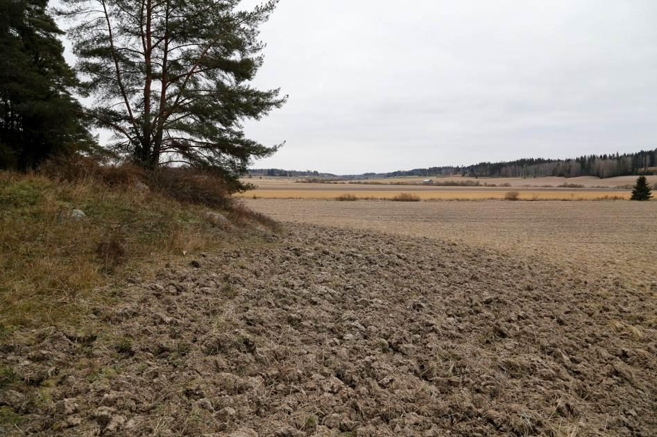 Kalisen jokiranta Kivikautinen asuinpaikka sijaitsee Punkalaitumenjoen pohjoisrannalla, loivasti kumpuilevalla etelään laskeutuvalla vainiolla, välittömästi saarekkeen joenpuolella noin 5,2