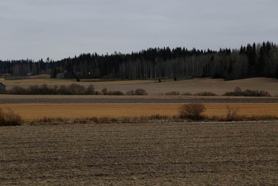 Kuva 49. Muinaisjäännösalue kuvattuna jokilaakson pohjoistöyräältä Punkalaitumenjoen yli kaakon suuntaan. Muinaisjäännösalue sijoittuu kuvan keskiosaan joen rannalla kasvavien pensaiden taakse.