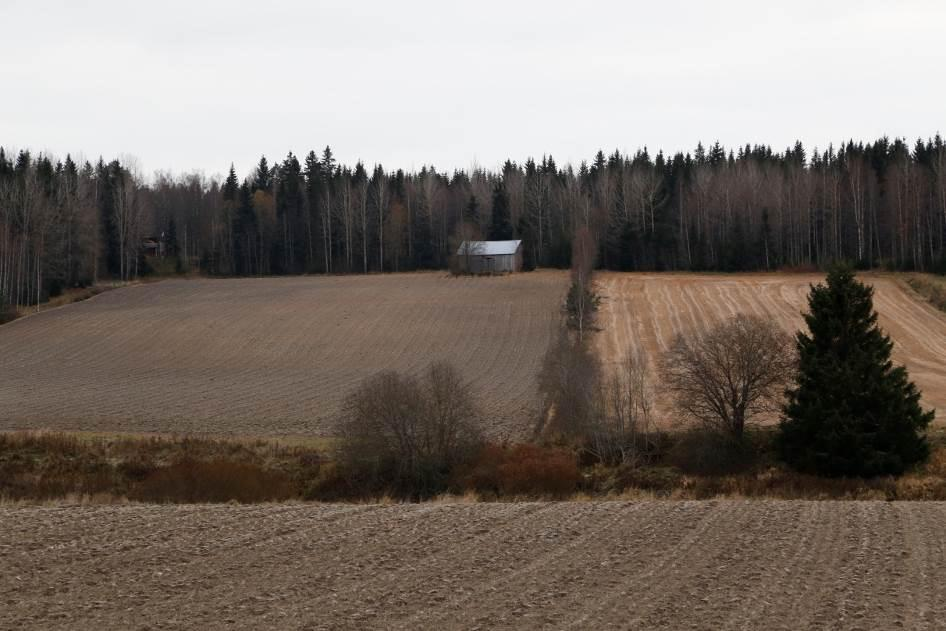 suunnitellusta tuulivoimalasta pohjoisessa. Kuva 52. Muinaisjäännösalue kuvattuna Lauttakyläntieltä jokilaakson yli etelään päin.