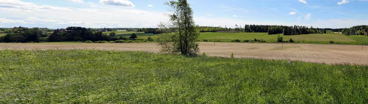 tuulivoimalasta pohjoisessa. Tontti on edelleen osin käytössä. Kuva 54. Muinaisjäännösalueen nykytilamaisemaa etelään tuulivoimahankkeen suuntaan.