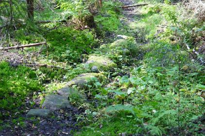 1.2 Kaava-alueen sijainti Kaava-alue sijaitsee Haikkoon ja Mustijoen kylissä Tolkkistentien itäpuolella Nuohoojantien ja Ylä-Haikkoontien molemmin puolin.