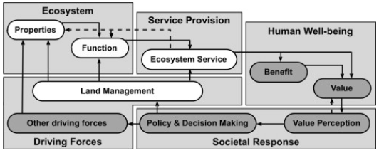 Determining Value Beliefs: an internal feeling that something is true Values: measure of the worth or importance of something Utility: usefulness or perceived ability of