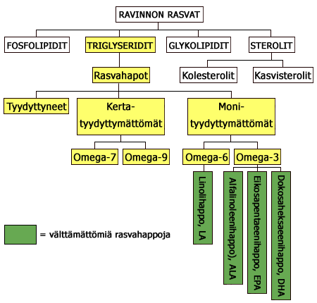 Kuvan lähde: Tohtori.