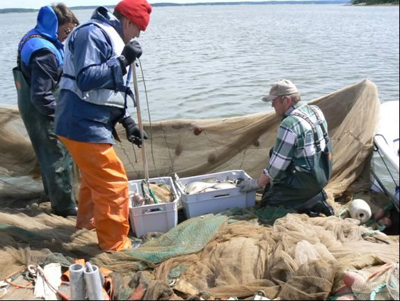 2011 kaikuluotausta varten. Kuva 12.