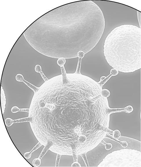 Mikrobiologiset määritykset Taudinaiheuttajamikrobit Noro- ja adenovirukset Kampylo-, salmonella- ja legionellabakteerit Indikaattorimikrobit Eschericia coli, koliformiset bakteerit,