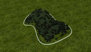Forest Pack sisältää oman kasvikirjaston, josta löytyy sekä kaksiulotteisia bitmap-kuvia että kolmiulotteisia kasvimalleja.