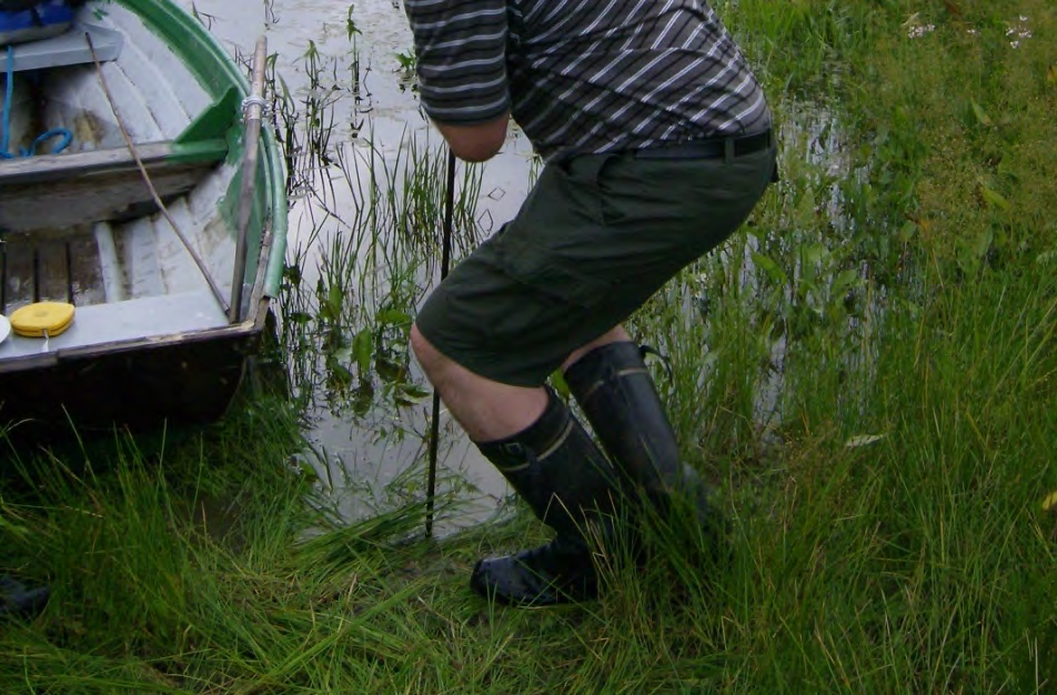 3 Vaanilanlahden kosteikko Natura-alueella Lohjalla sijaitsevan Vaanilanlahden kosteikon suunnitteltyön valmistelu aloitettiin vuonna 2008 hoito- ja