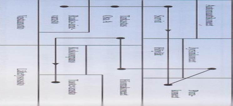 20 2.5.2 Funktionaalinen layout Funktionaalisen layoutin ideana on, että samaa keskenään edustavat tuotannon toiminnot kerätään ryhmiksi, kuten esimerkiksi perinteiset: hitsaamo ja sorvaamo.