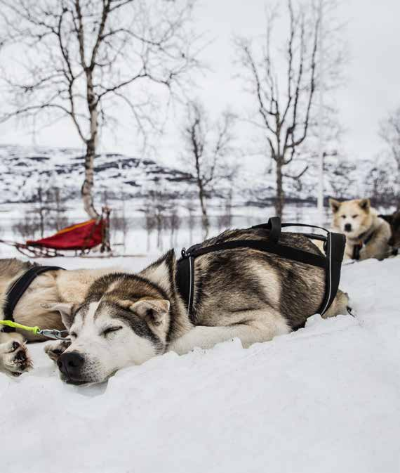 ÄÄRIMMÄISTÄ TÄYDELLISYYTTÄ WI UNIQUE puhdistaa kaiken vastaanotetun äänen.