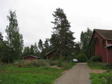 Digikuva 125938:37. Vanhaa kylätonttia.