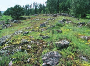 käyttöön, mutta korotus ei vaikuttanut uhanalaisuusarvioon, joka jo muiden tekijöiden perusteella arvioitiin luokkaan CR.