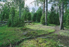 lahopuun väheneminen, rakentaminen, pellonraivaus, kuusettuminen edelleen laidunnetuilla alueilla.